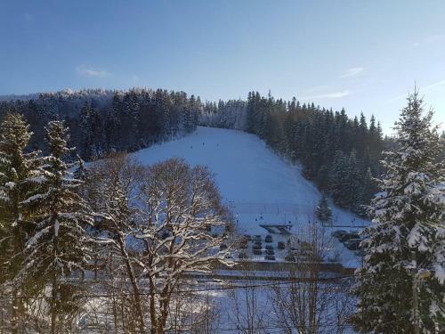 Apartamento Treasure Mountain Predeal