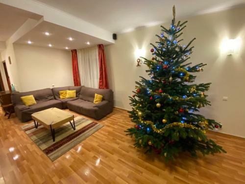 Villa Vila Amira Predeal