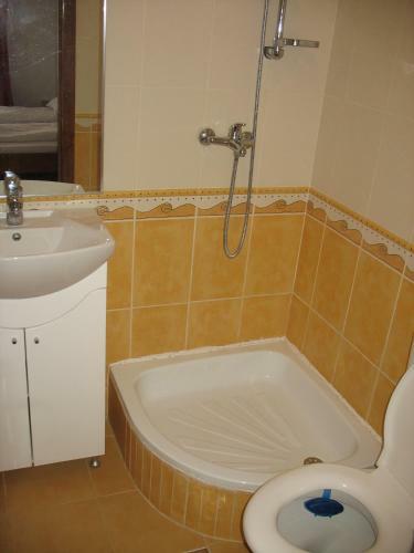 Villa Vila Amira Predeal