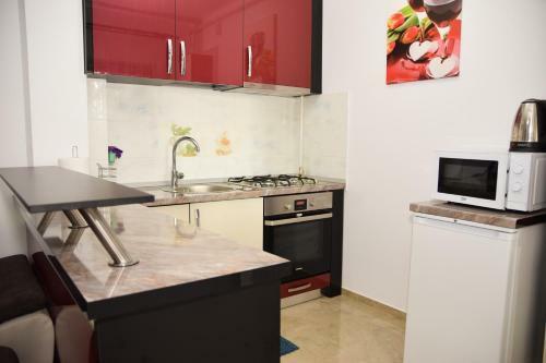Transylvania Apartment 5