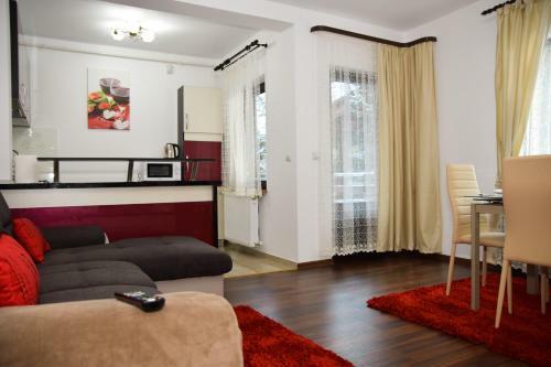 Transylvania Apartment 5
