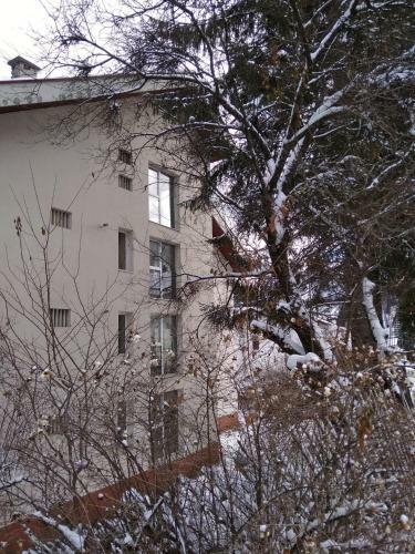 Apartamento Central Predeal