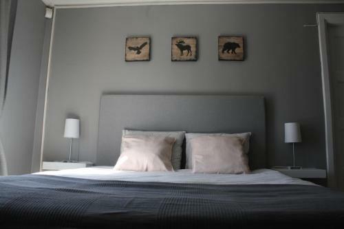 Albergue The Sleepy Moose