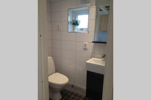 Sj�stugan, Solviken