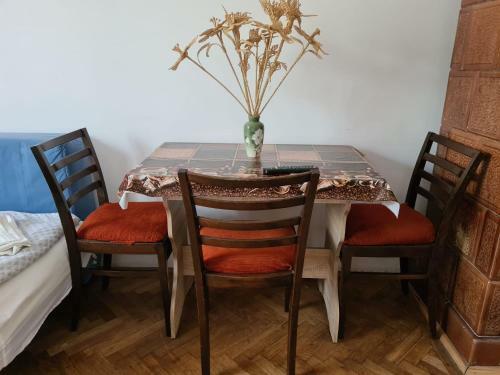 Hostal Aurora Vend�gh�z