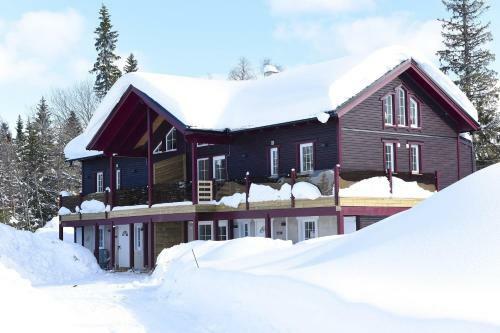 Nice Holiday Apartment With Sauna
