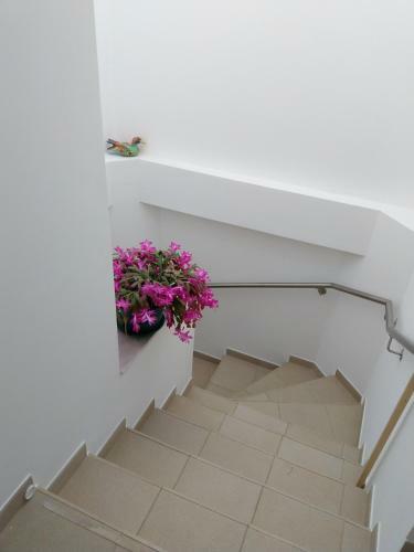 Quarto Privativo Suite