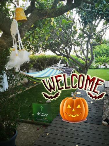 Hostal Nature Guesthouse