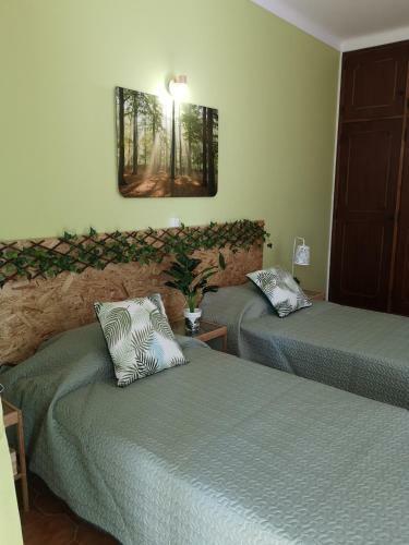 Hostal Nature Guesthouse