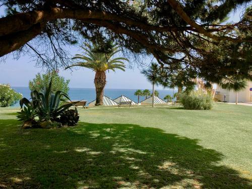 Apartamento D. Ana Beach Studio