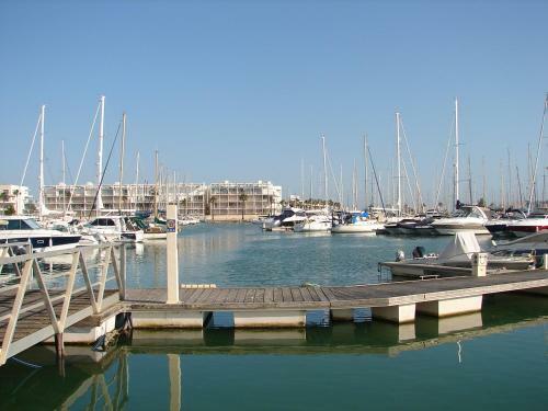 Apartamento Dom Manuel I