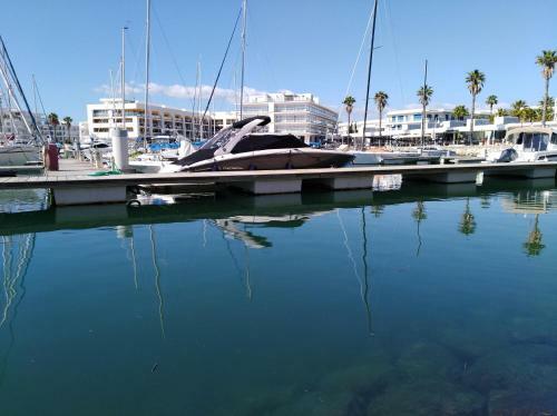 Apartamento Dom Manuel I