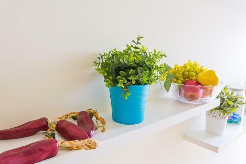 Apartamento Dom Manuel I