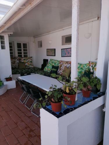 Hostal Iguana Guesthouse