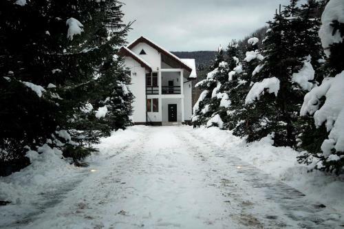 Villa Privilegio 148 S�mb?ta