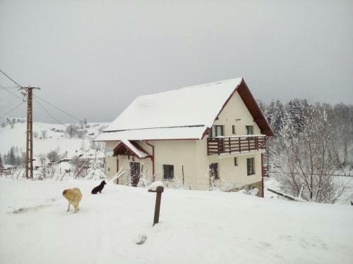 Montecrai