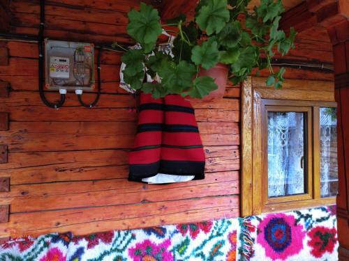 Hostal Casa Cu Traditie