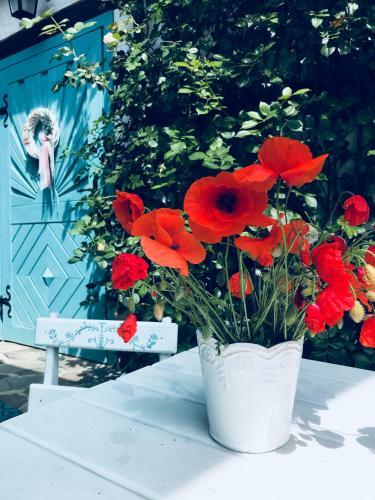 Hostal Casa Cu Suflet