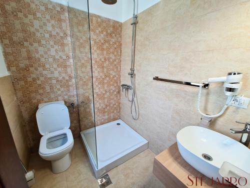 Hotel Stejarro Conac Moldovenesc