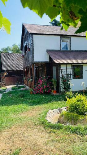 Hostal Pensiunea Amalia