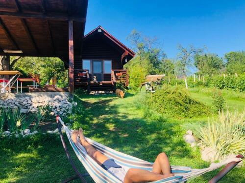 Hostal Agropensiunea Colev