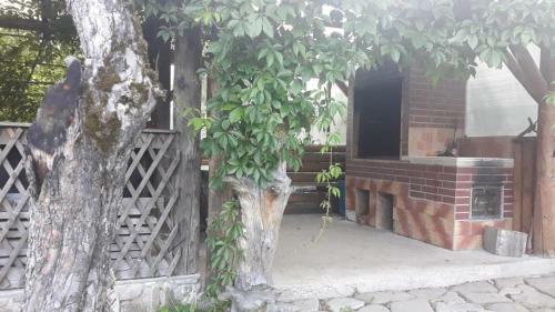 Hostal Pensiunea Casa Domni?ei Sucevi?a