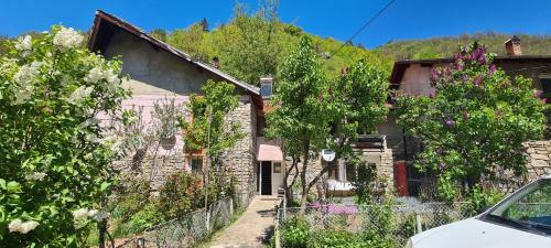 Apartamento La Tanti Coman