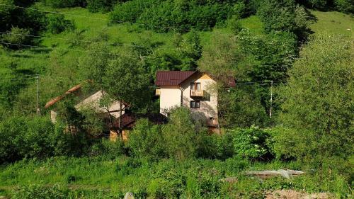 Hostal Pensiunea Petru