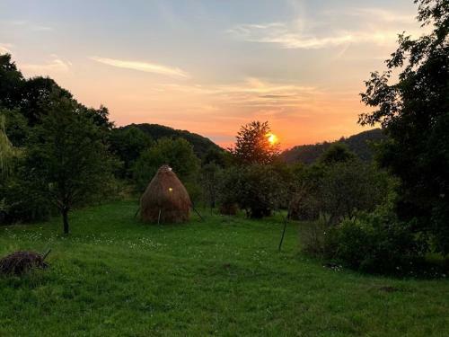 Bed & Breakfast Casa Comilor
