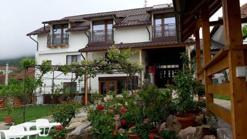Hostal Casa Svinicean?