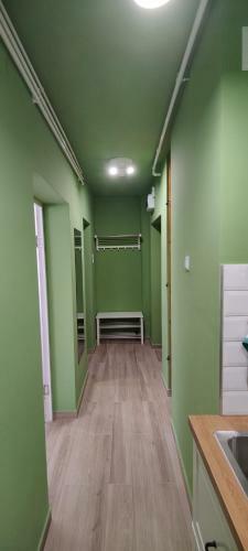 Apartament Vass