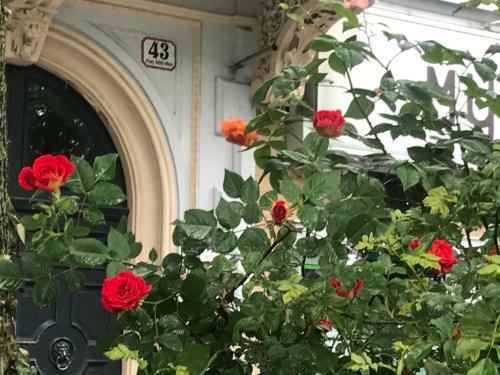 Apartamento Vca Palais Brambilla