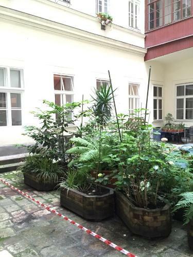 City Apartment