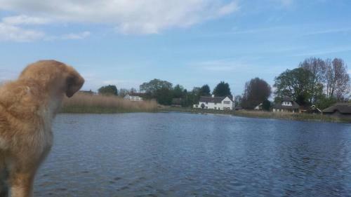 Watersedge