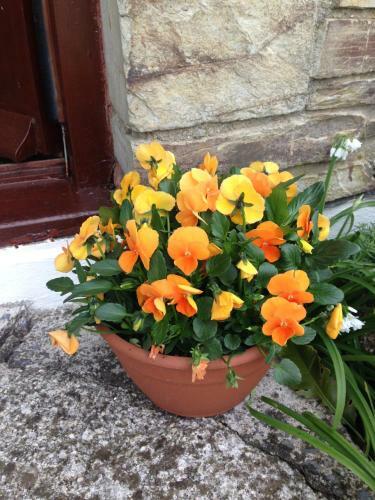 Bed & Breakfast Trecorme Barton
