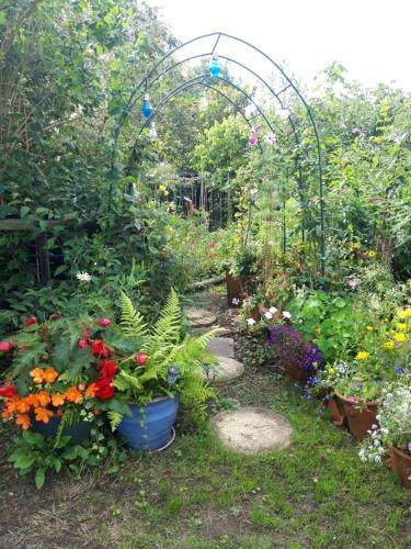 Hostal Rosedale Cottage