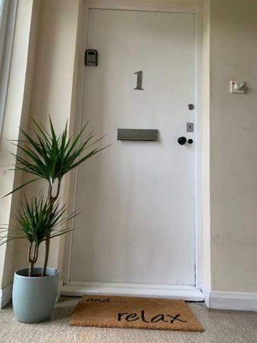 Cosy Studio Apartment
