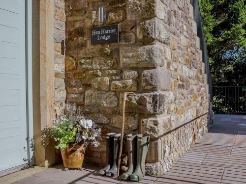 Hen Harrier Lodge