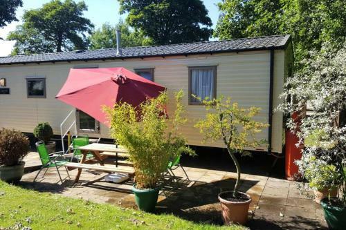 Edinburgh - Seton Sands-salsa Caravan-pet Friendly