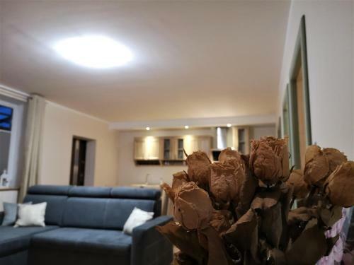 Apartamento Siedlisko Miluki