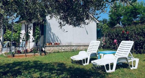 Apartamento Studio Benassi