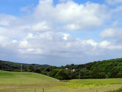 Woods Close