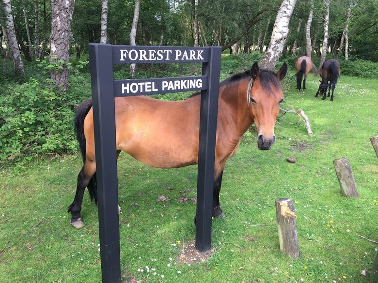Forest Park Hotel