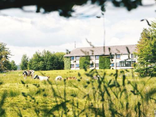 Westmorland Hotel Tebay