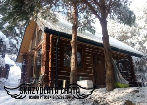 Skrzydlata Chata / Osada Ptosek Bieszczady