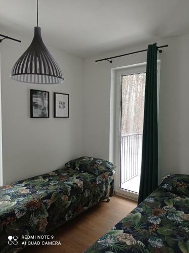 Apartament Cappello
