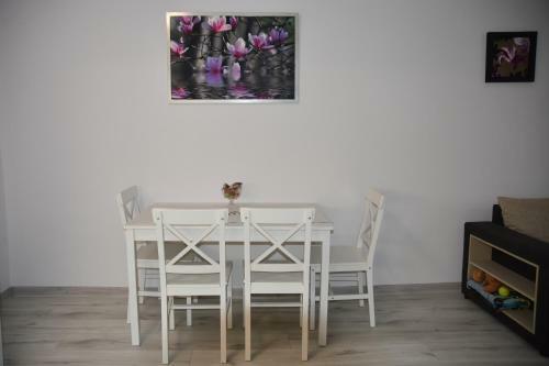 Apartament Nad Fontann?