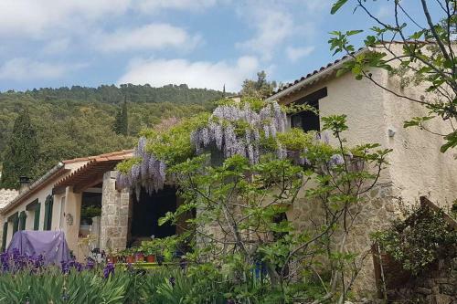 Apartamento Studio de Charme + Terrasse : Verdon, Lac, Plages