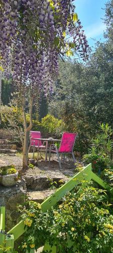 Apartamento Studio de Charme + Terrasse : Verdon, Lac, Plages