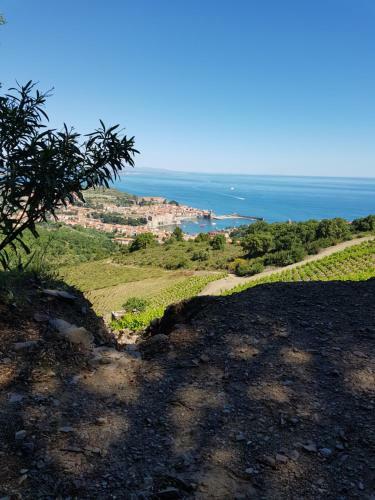 Apartamento Appartement Charmant � Collioure
